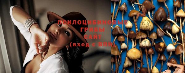 метадон Нея