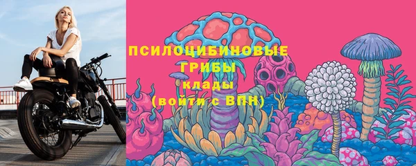 МДПВ Нефтегорск