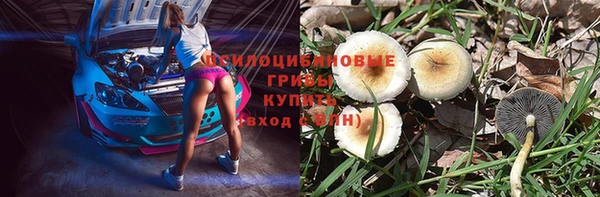 первитин Среднеколымск