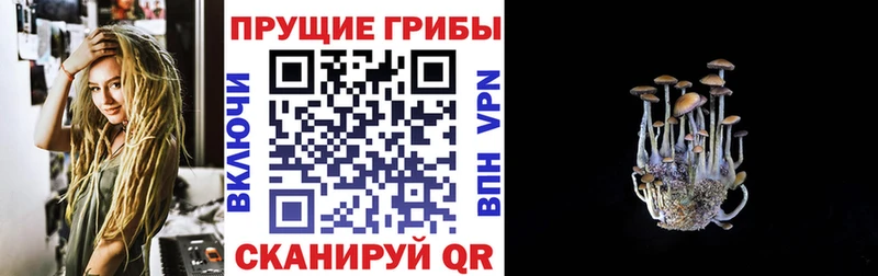 Псилоцибиновые грибы мицелий  Разумное 